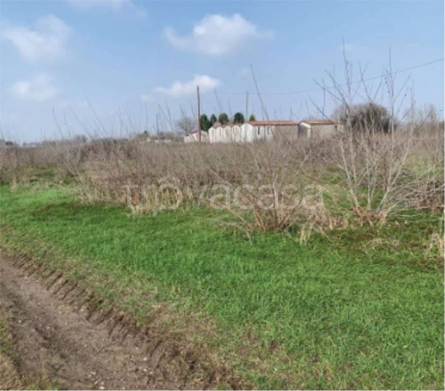 immagine annuncio 3 di 12