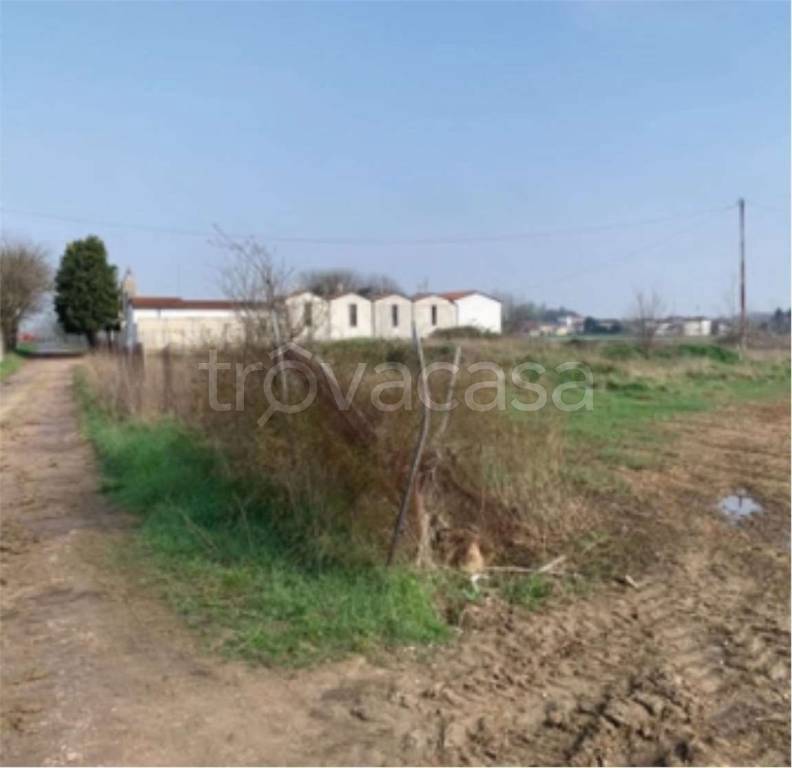 immagine annuncio 8 di 12