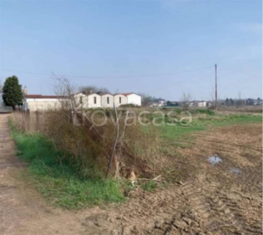 immagine annuncio 10 di 12