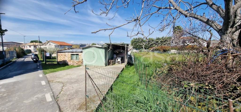 immagine annuncio 4 di 11