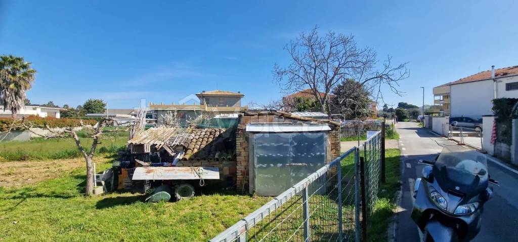 immagine annuncio 6 di 11