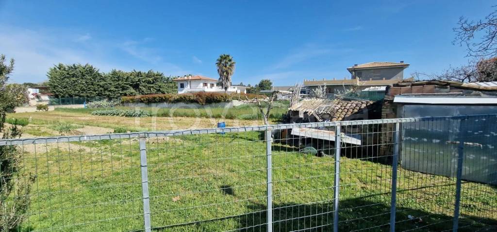 immagine annuncio 9 di 11