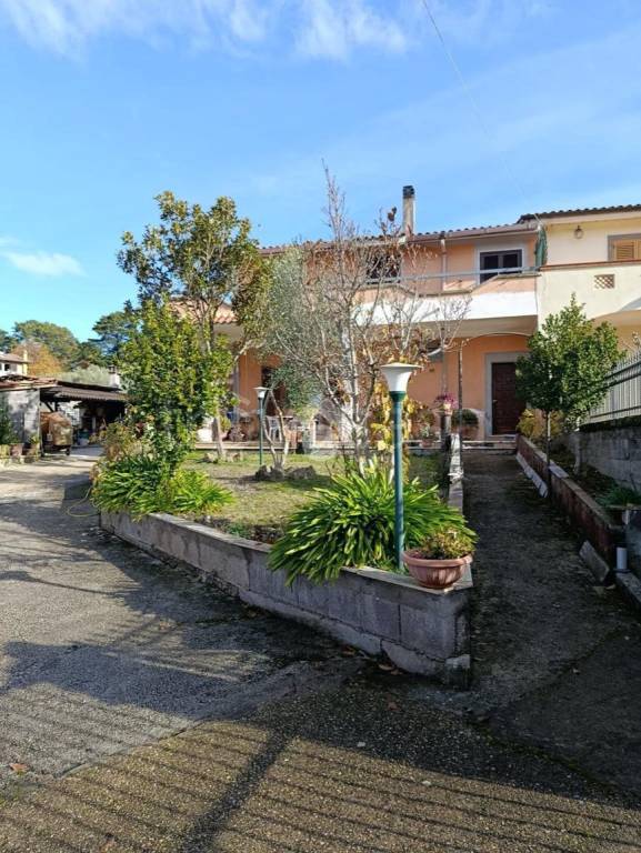 immagine annuncio 3 di 12