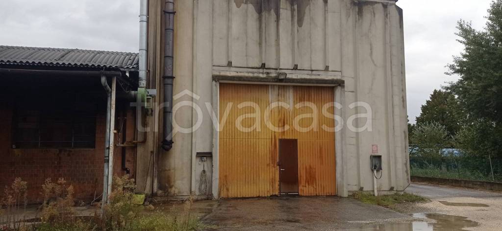 immagine annuncio 3 di 6