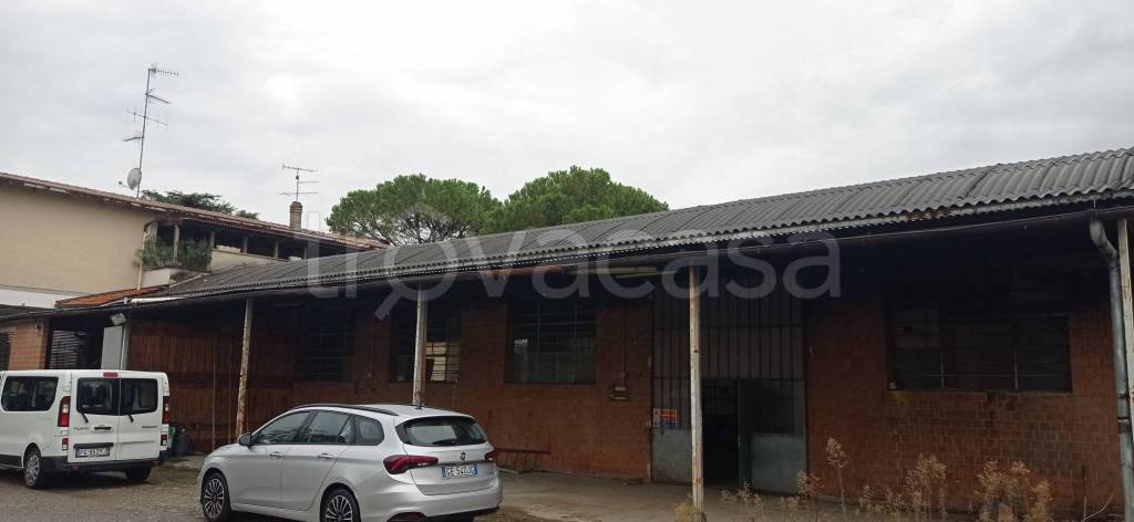 immagine annuncio 4 di 6