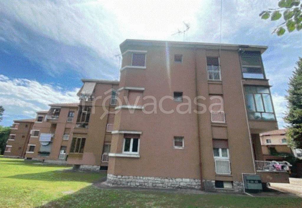 immagine annuncio 1 di 12