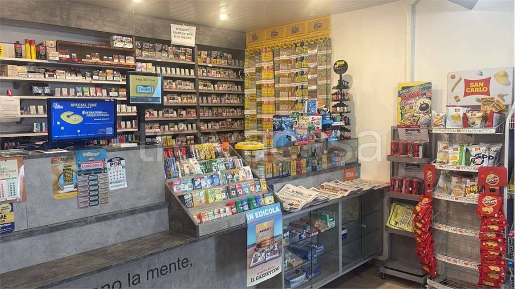 immagine annuncio 3 di 13