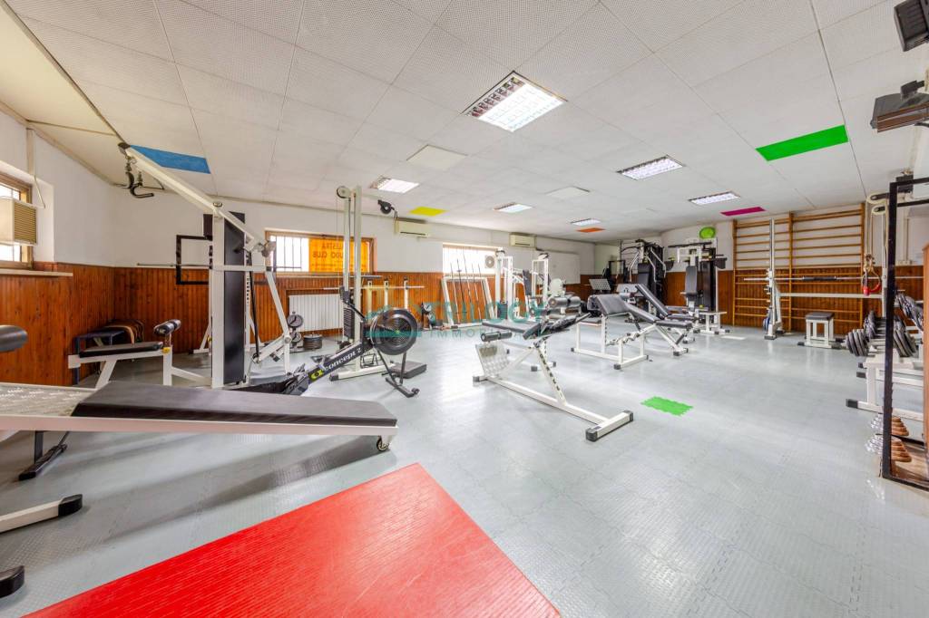 immagine annuncio 13 di 15