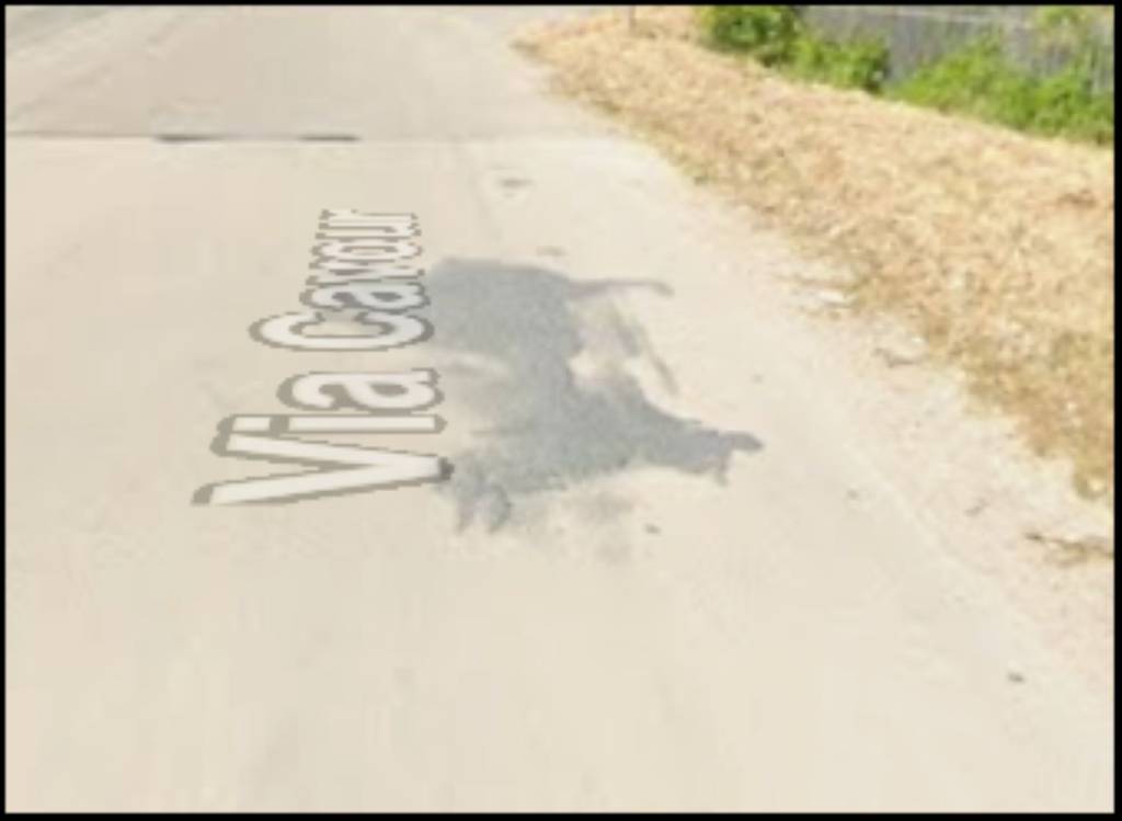 immagine annuncio 3 di 12