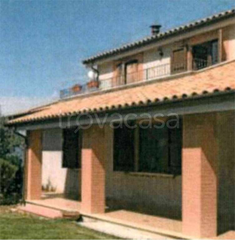 immagine annuncio 5 di 12