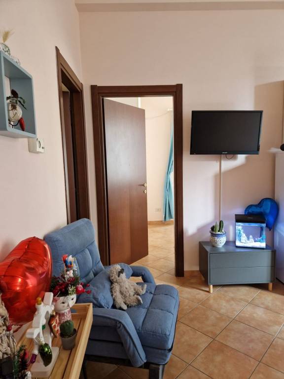 immagine annuncio 3 di 12