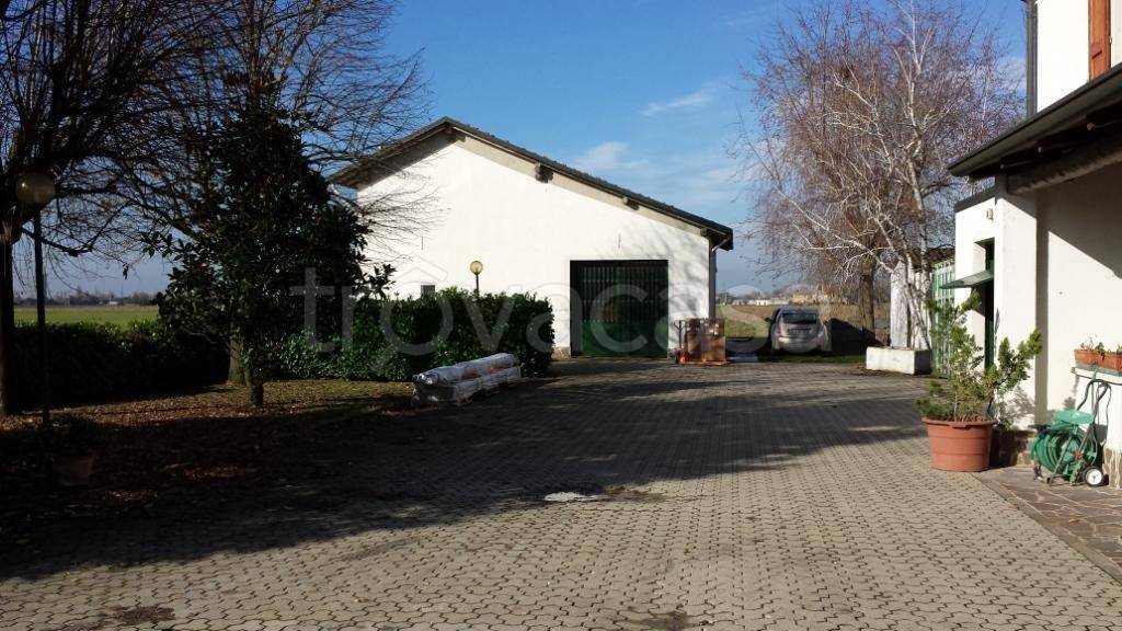 immagine annuncio 1 di 4