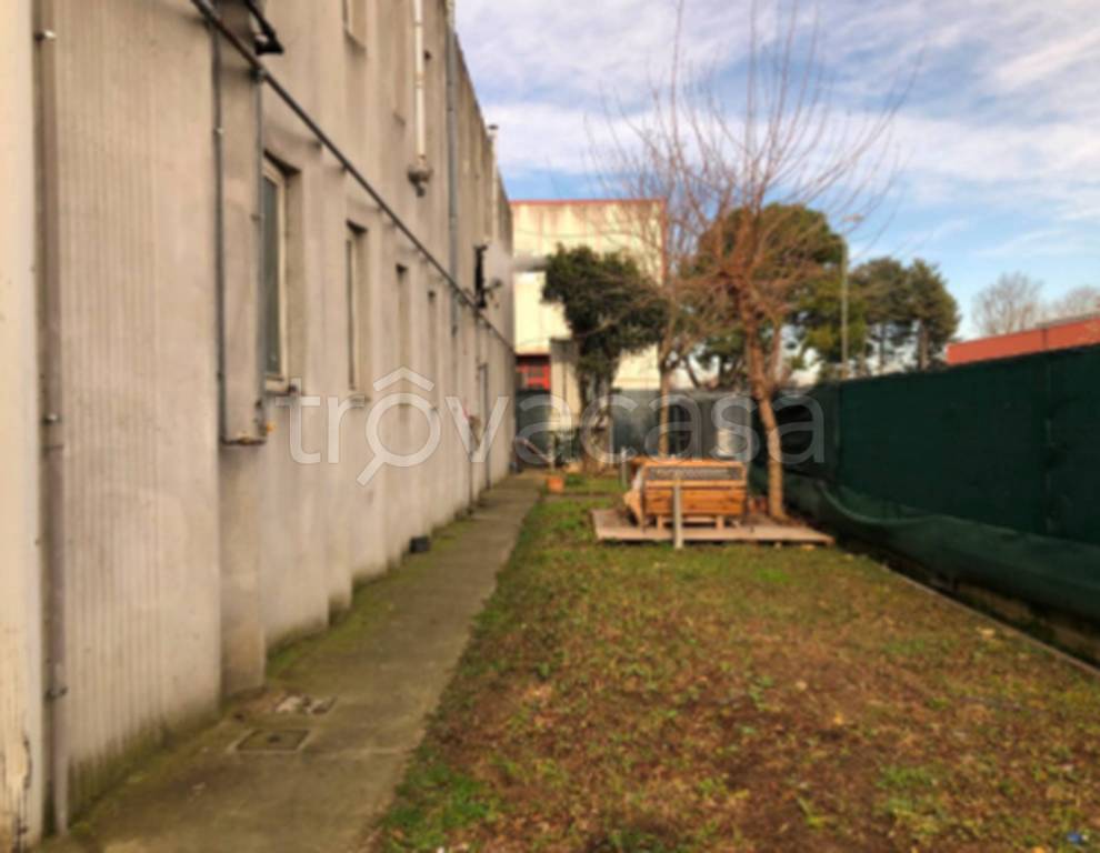 immagine annuncio 5 di 11