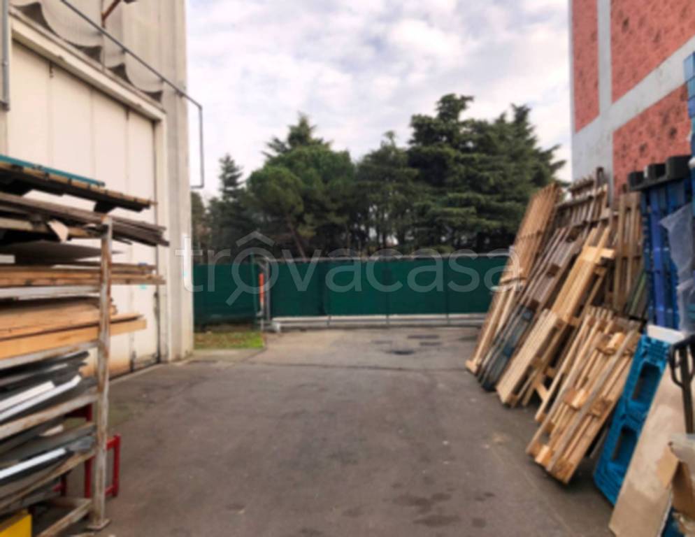 immagine annuncio 6 di 11