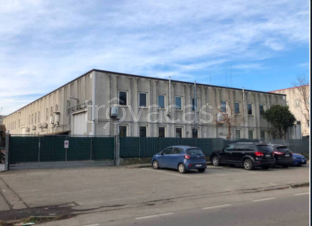 immagine annuncio 7 di 11