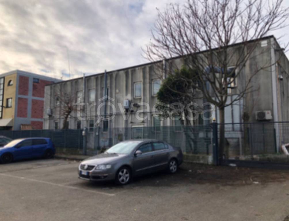 immagine annuncio 9 di 11