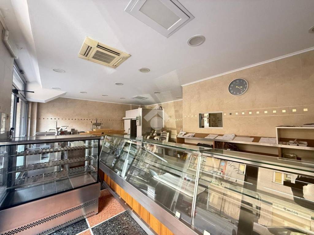 immagine annuncio 5 di 13