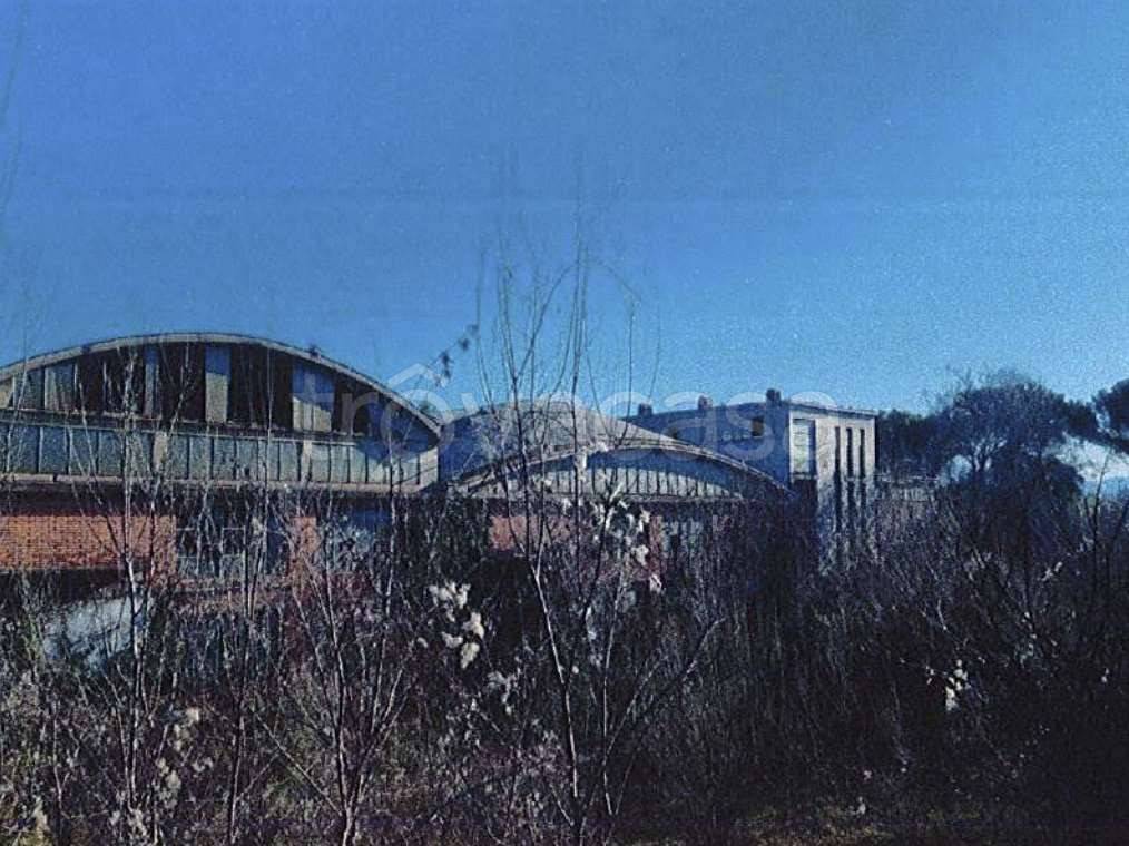 immagine annuncio 3 di 12