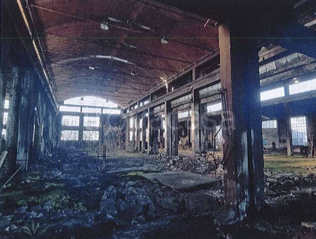 immagine annuncio 5 di 12