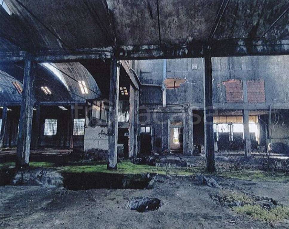 immagine annuncio 6 di 12