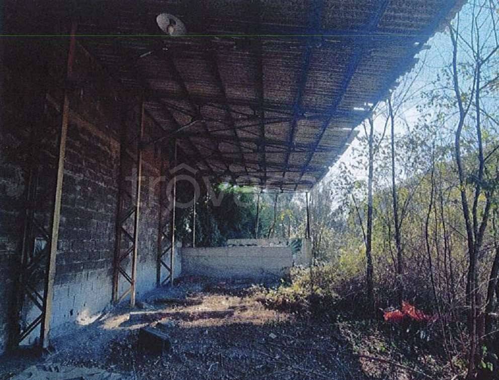 immagine annuncio 9 di 12