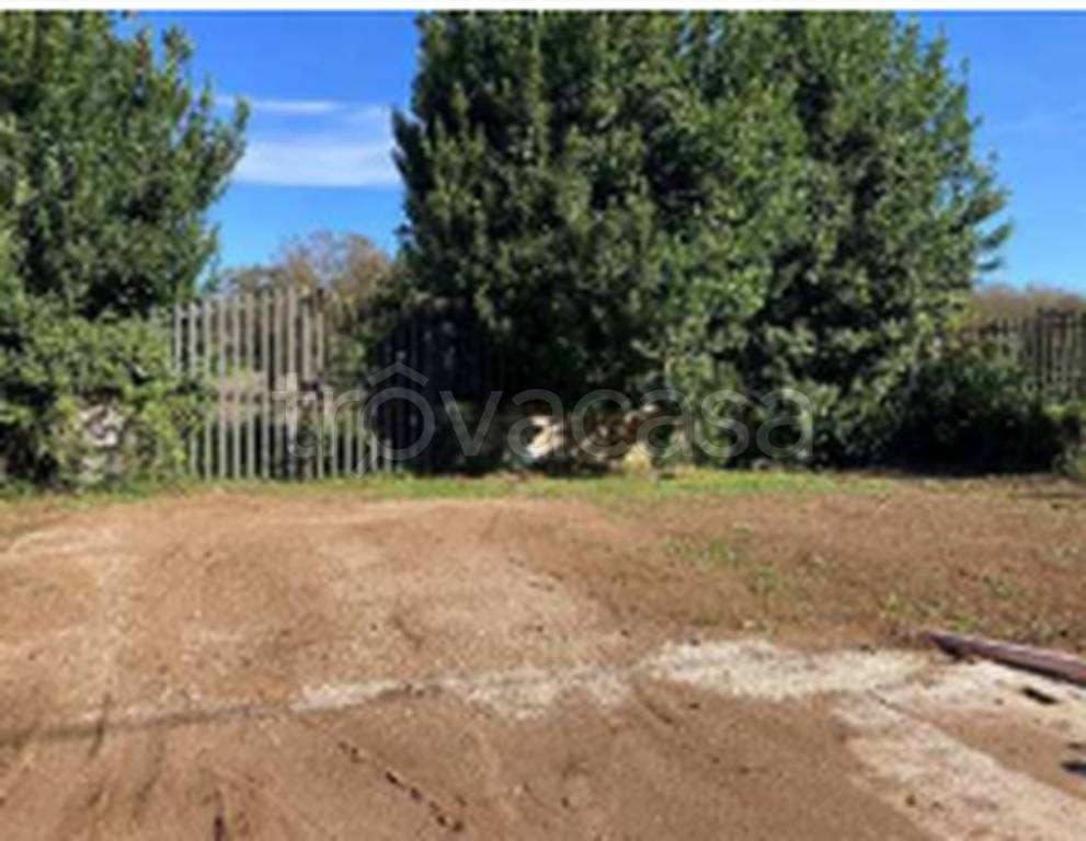 immagine annuncio 7 di 11