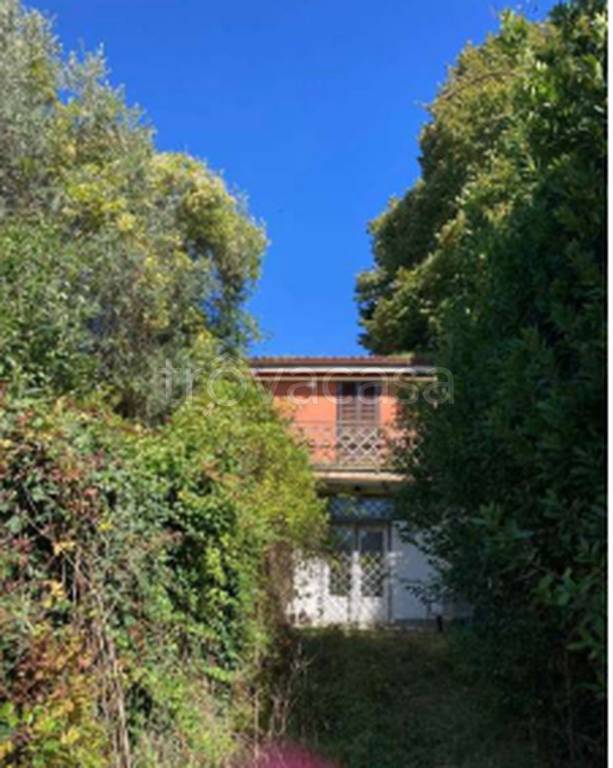 immagine annuncio 9 di 11