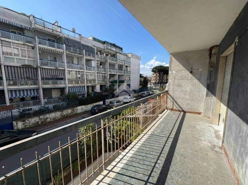 immagine annuncio 3 di 13