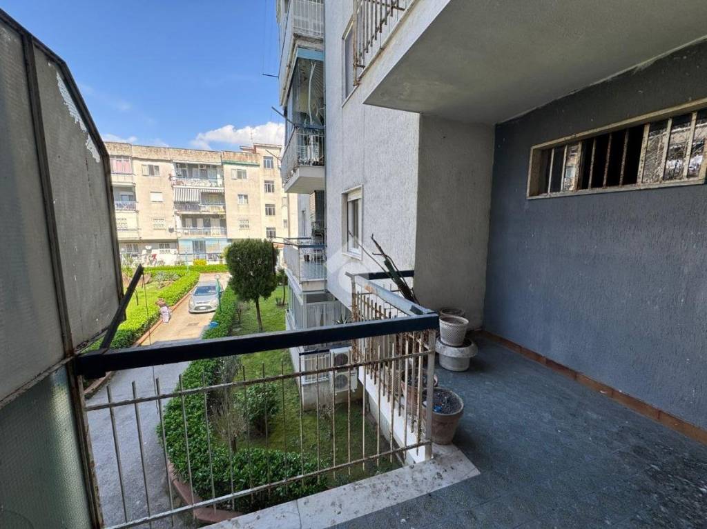 immagine annuncio 11 di 13