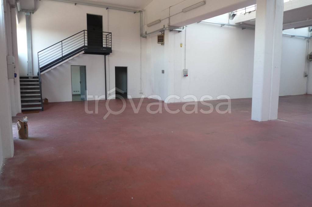 immagine annuncio 4 di 12