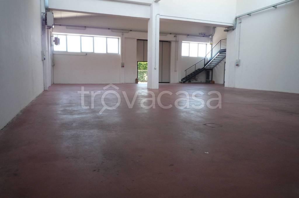 immagine annuncio 6 di 12