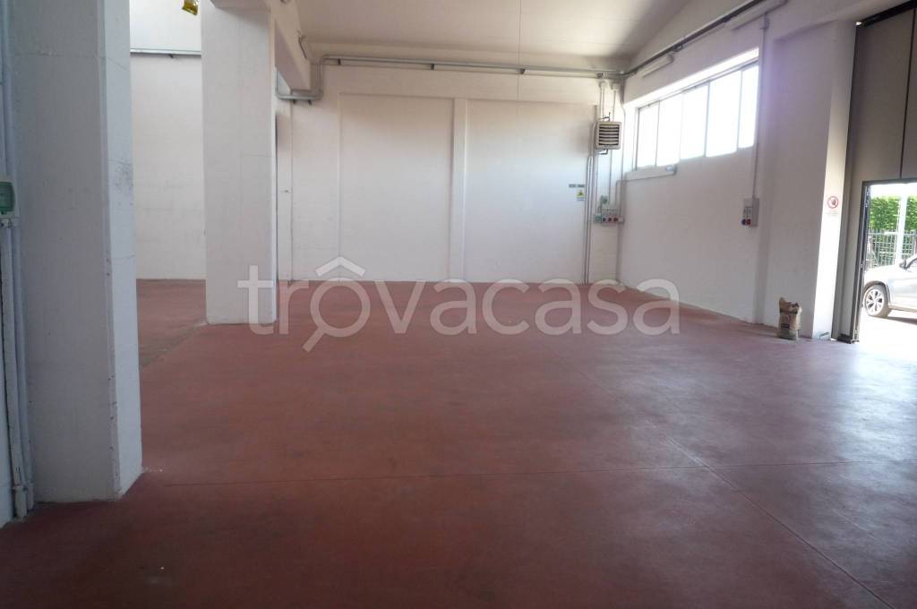 immagine annuncio 7 di 12