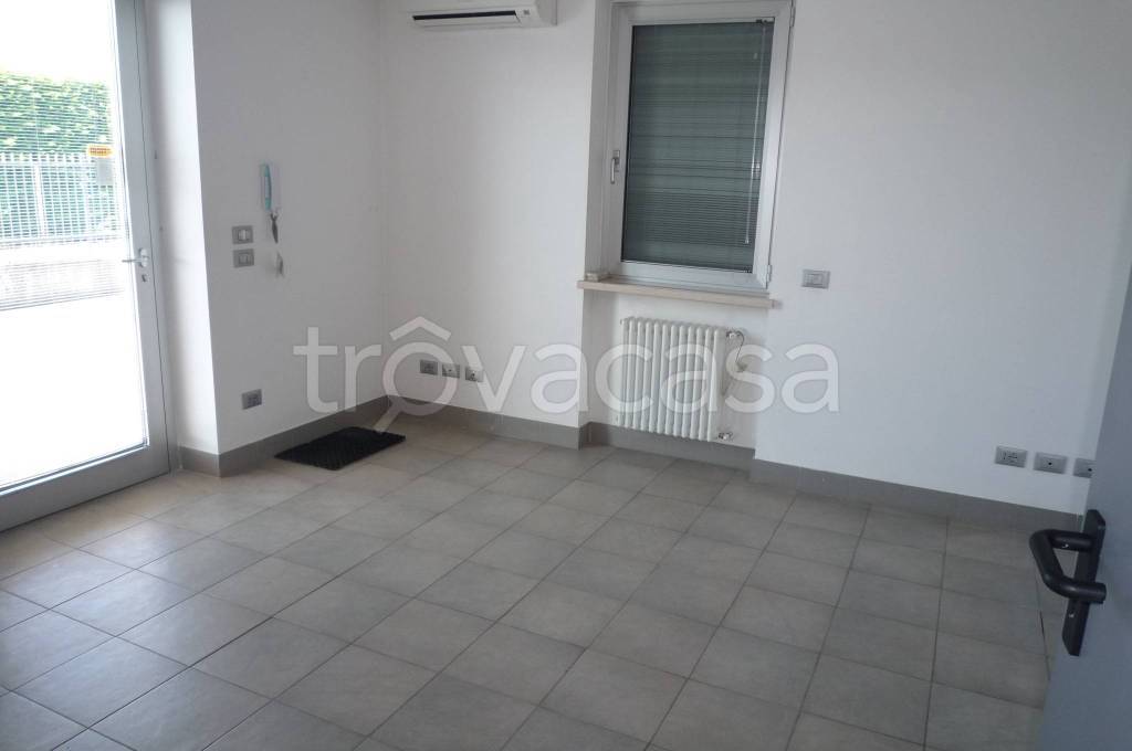 immagine annuncio 9 di 12