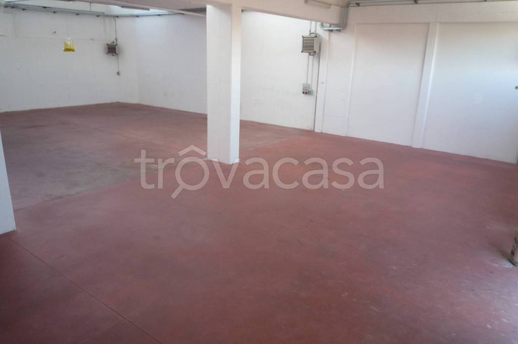 immagine annuncio 5 di 12