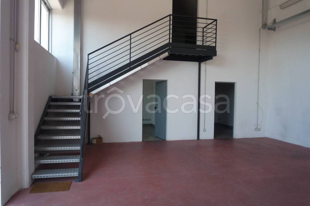 immagine annuncio 10 di 12