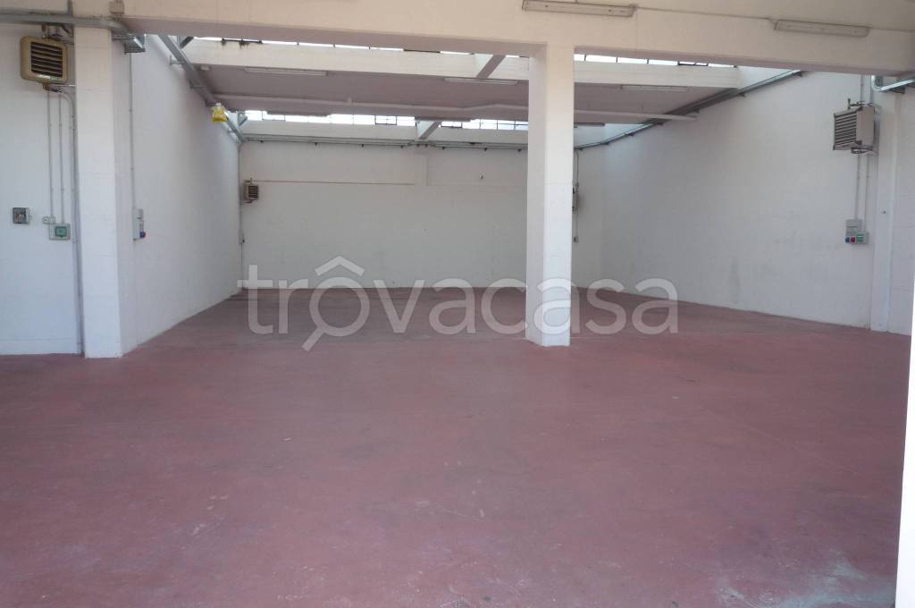 immagine annuncio 3 di 12