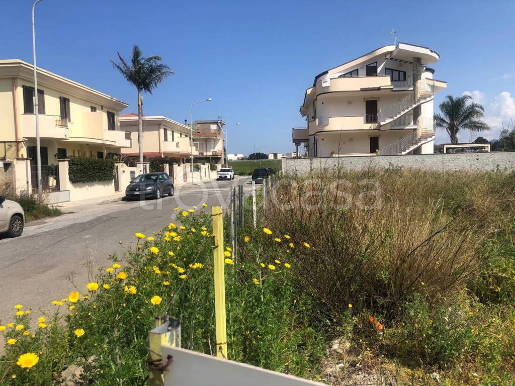 immagine annuncio 5 di 6