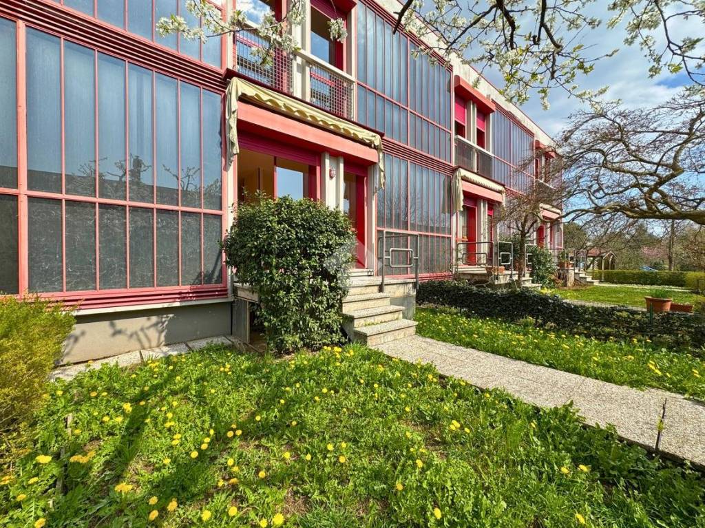 immagine annuncio 12 di 13