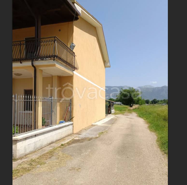 immagine annuncio 2 di 14