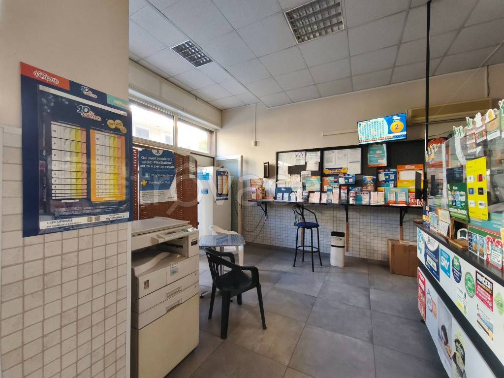 immagine annuncio 5 di 15