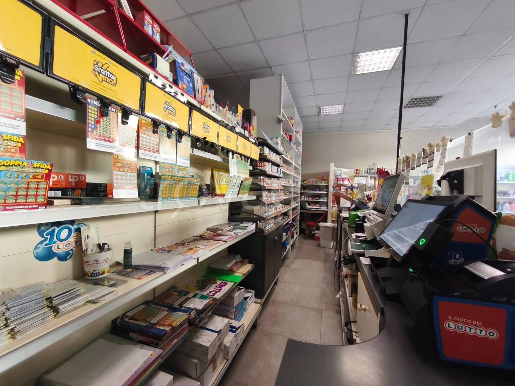 immagine annuncio 11 di 15