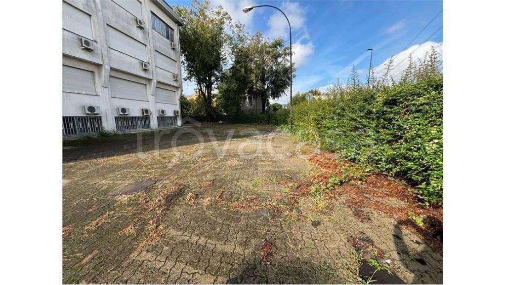 immagine annuncio 3 di 12