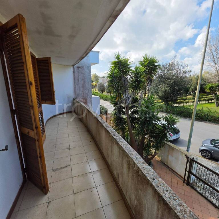 immagine annuncio 13 di 14