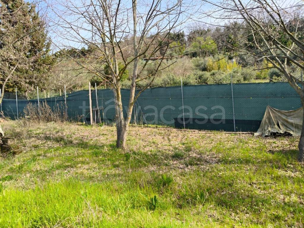 immagine annuncio 7 di 11