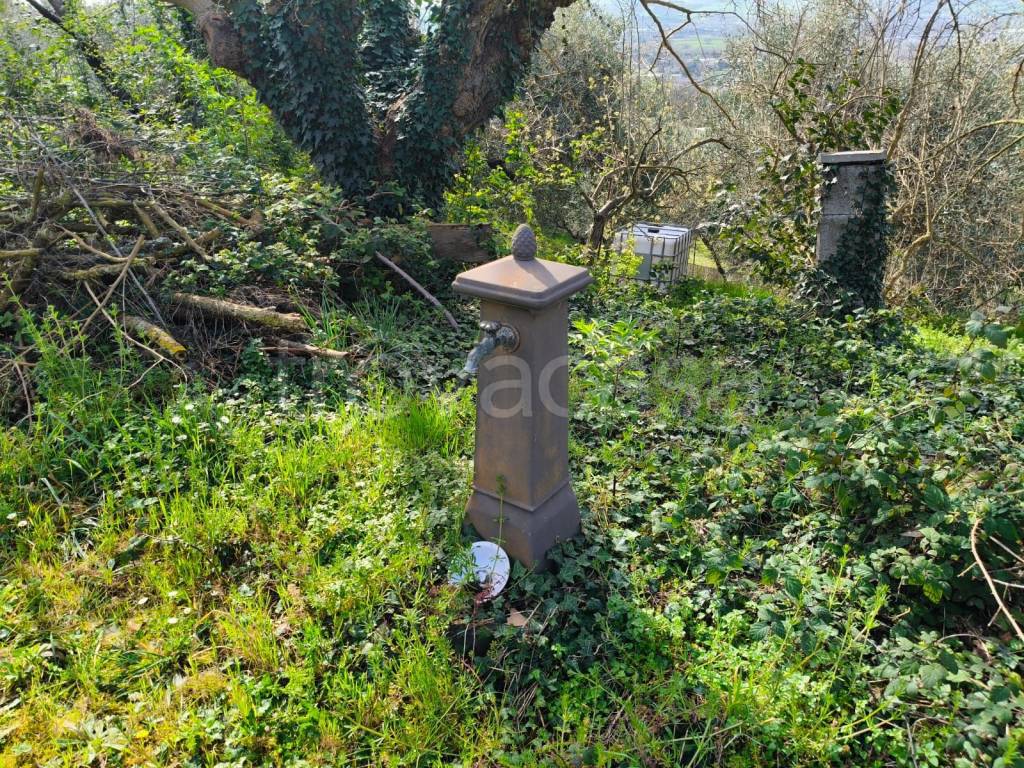 immagine annuncio 8 di 11