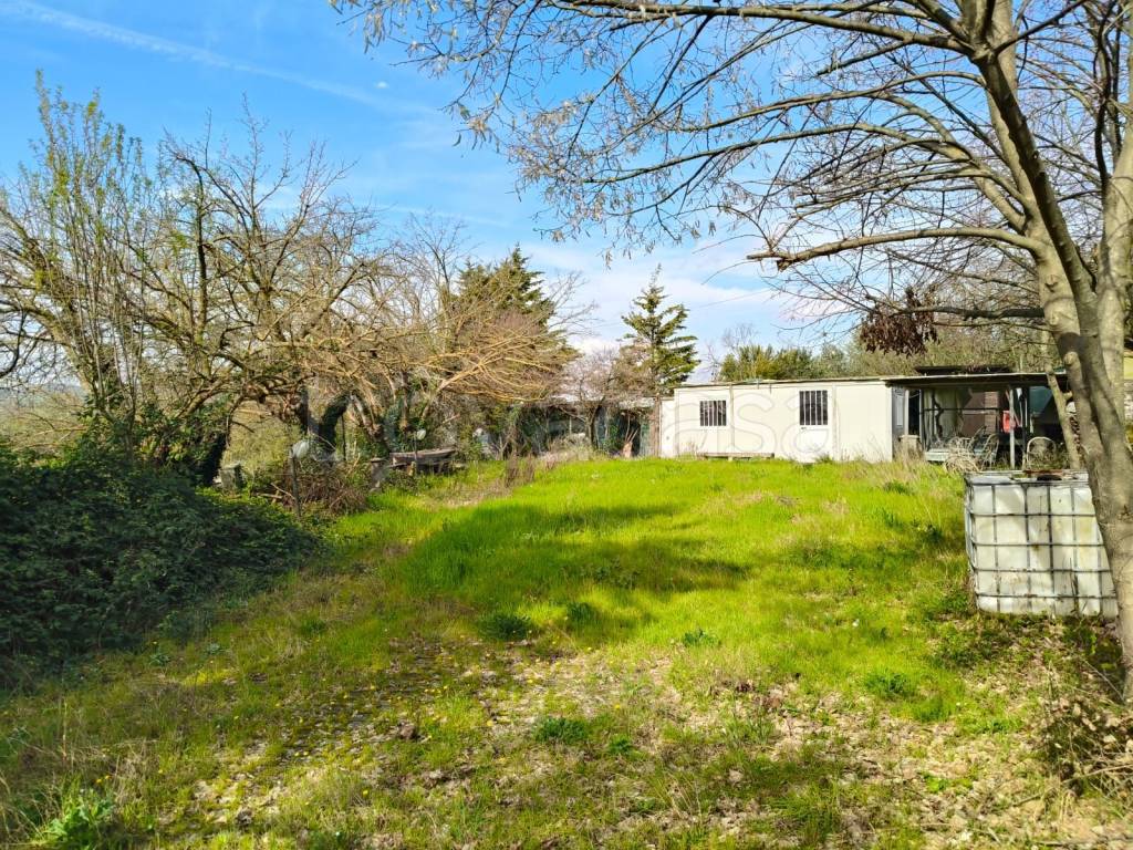 immagine annuncio 10 di 11