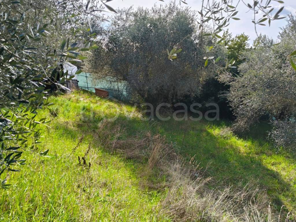 immagine annuncio 4 di 11