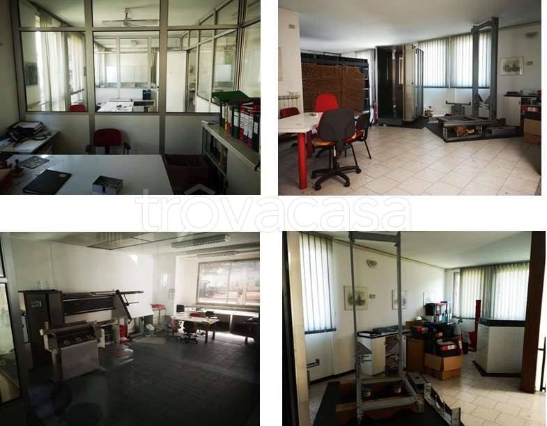 immagine annuncio 1 di 4