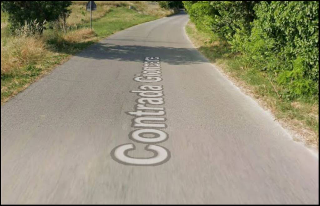 immagine annuncio 1 di 12