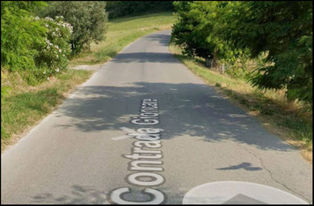 immagine annuncio 6 di 12